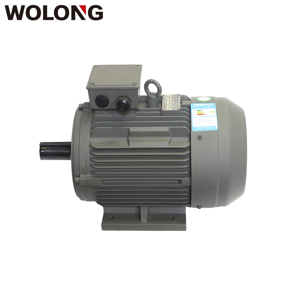 WOLONG/臥龍工業(yè)電機 YE3超高效率三相異步電動機   4極11KW~55W三相異步電機