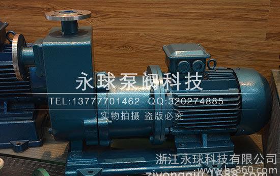 不銹鋼耐腐蝕磁力泵，自吸式磁力泵， 防爆型磁力泵 ZCQ25-20-115