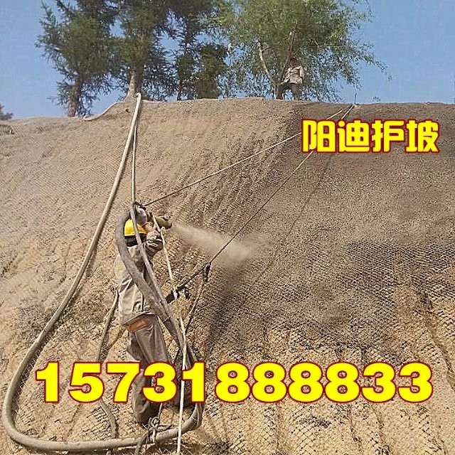 十堰客土噴播，武漢邊坡綠化，湖北山體錨噴，黃石掛網(wǎng)噴漿，荊州混凝土噴漿，陽(yáng)迪公司